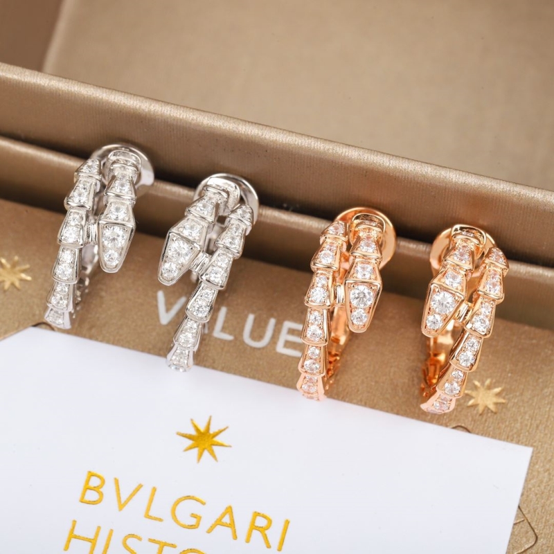 Bottega VENENTA Earrings